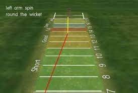 Pitch vision cricket technology