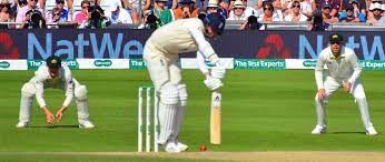Leg Before Wicket Cricket Rules 3-meter Rule in Cricket