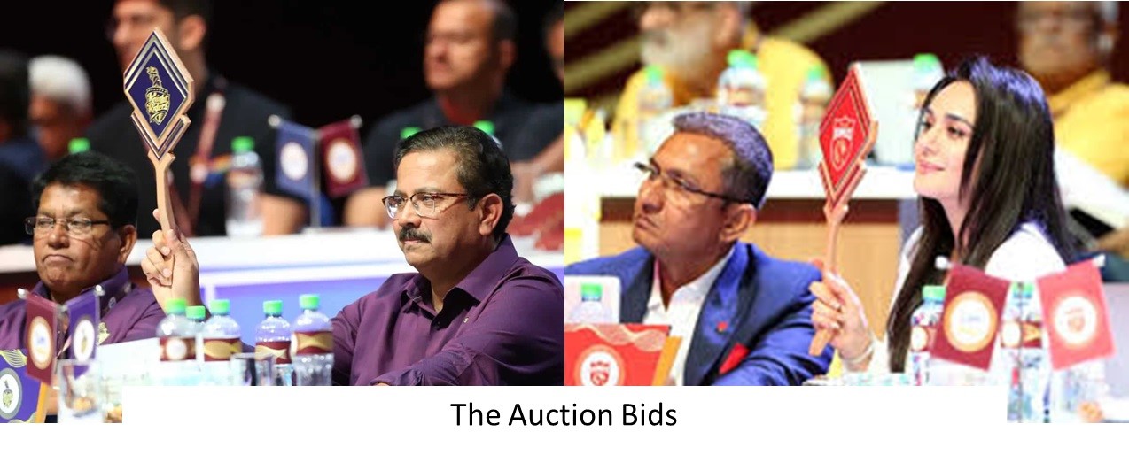 the auction bids